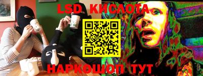 PSILOCYBIN Кулебаки