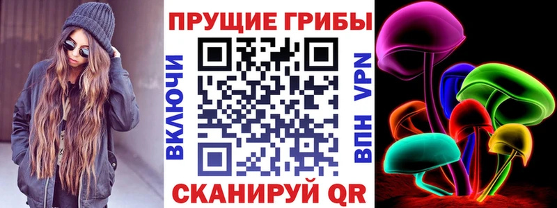 Галлюциногенные грибы мицелий  купить наркоту  mega зеркало  Котельники 