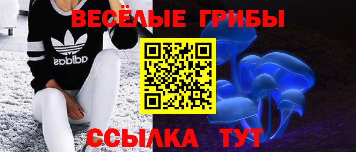 Псилоцибиновые грибы MAGIC MUSHROOMS  Псилоцибиновые грибы мухоморы  Вход с VPN  Котельники 